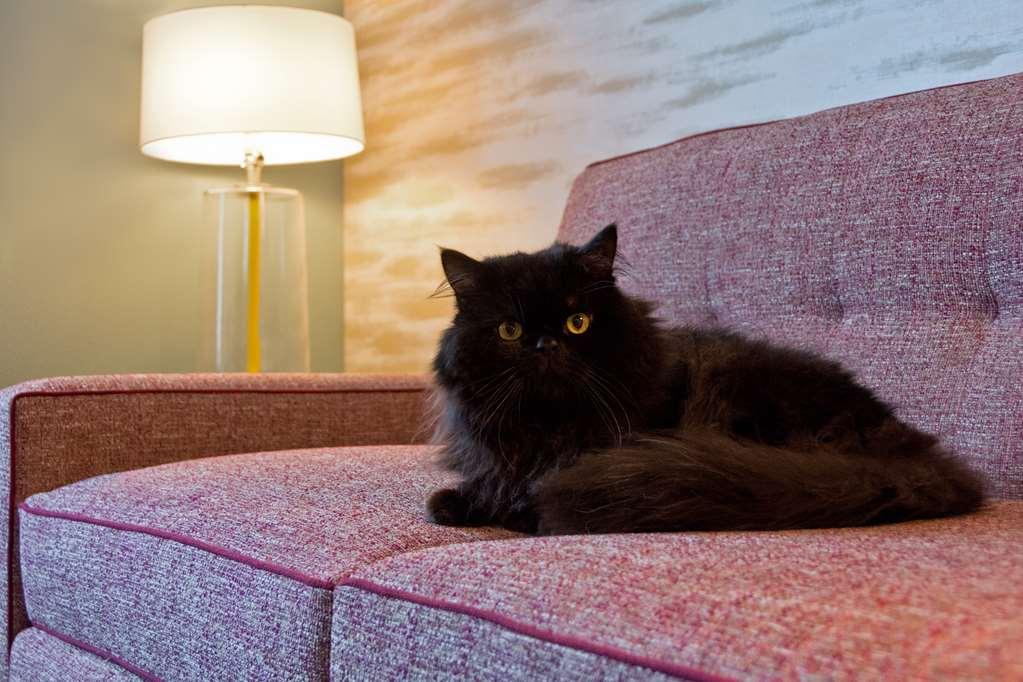 Home2 Suites By Hilton Boston South Bay Номер фото